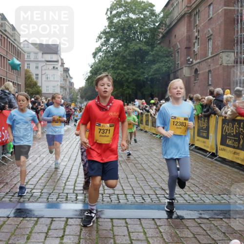 13.09.2026 - Kiel Lauf Yannick Fuchs http://msf.ph/oto/10406545 13.09.2026 08:59:06 Ziel 118, 512, 1848, 2725, 3543, 3666, 4026, 5106, 5629, 6883, 7028, 7739, 7916, 8261, 8944, 9215, 10334, 11201, 11575, 27, 339, 515, 1119, 1348, 2100, 3242, 4965, 5092, 5200, 5201, 5536, 5537, 6151, 6573, 6896, 7022, 7223, 7407, 8354, 9773, 10211, 10292, 10821, 11252, 11386, 11430, 11783, 11924, 12297, 12517, 3767, 3803, 3958, 4064, 4164, 4426, 4444, 4498, 4886, 5131, 5590, 6480, 6816, 7337, 7371, 7401, 7706, 9293, 9430, 1382, 3217 meine-sportfotos.de
