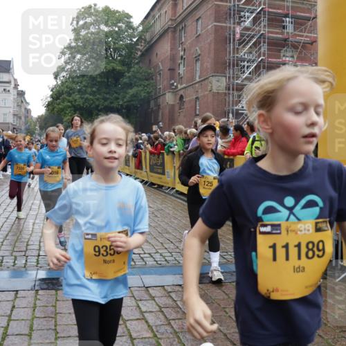 13.09.2026 - Kiel Lauf Yannick Fuchs http://msf.ph/oto/10406586 13.09.2026 08:59:11 Ziel 118, 512, 1848, 2725, 3543, 3666, 3767, 4026, 4064, 4164, 4444, 5106, 5629, 7028, 7706, 7916, 8261, 9215, 9430, 11575, 27, 339, 1119, 1348, 2100, 2725, 3242, 5092, 5106, 5200, 5201, 5536, 5537, 5629, 6151, 6573, 6883, 6896, 7022, 7223, 7407, 7739, 8944, 9773, 10211, 10292, 10334, 10821, 11201, 11252, 11386, 11430, 11783, 11924, 12297, 12517, 125, 1413, 1549, 1792, 2342, 3165, 3803, 3958, 4426, 4481, 4498, 4886, 5016, 5131, 5590, 6480, 6816, 6943, 7337, 7371, 7401, 9293 meine-sportfotos.de
