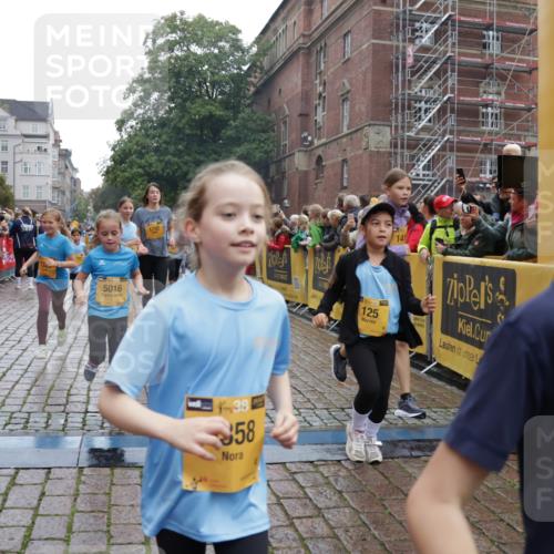 13.09.2026 - Kiel Lauf Yannick Fuchs http://msf.ph/oto/10406588 13.09.2026 08:59:11 Ziel 118, 512, 1848, 2725, 3543, 3666, 3767, 4026, 4064, 4164, 4444, 5106, 5629, 7028, 7706, 7916, 8261, 9215, 9430, 11575, 27, 339, 1119, 1348, 2100, 2725, 3242, 5092, 5106, 5200, 5201, 5536, 5537, 5629, 6151, 6573, 6883, 6896, 7022, 7223, 7407, 7739, 8944, 9773, 10211, 10292, 10334, 10821, 11201, 11252, 11386, 11430, 11783, 11924, 12297, 12517, 125, 1413, 1549, 1792, 2342, 3165, 3803, 3958, 4426, 4481, 4498, 4886, 5016, 5131, 5590, 6480, 6816, 6943, 7337, 7371, 7401, 9293 meine-sportfotos.de