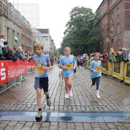 13.09.2026 - Kiel Lauf Yannick Fuchs http://msf.ph/oto/10406659 13.09.2026 08:59:18 Ziel 118, 3543, 3666, 3767, 3803, 3958, 4064, 4164, 4426, 4444, 5131, 5590, 6480, 6816, 7337, 7371, 7401, 7706, 9215, 9293, 9430, 9623, 10682, 11395, 11617, 11808, 12004, 12383, 27, 118, 339, 512, 1119, 1348, 1848, 2725, 3242, 4026, 5106, 5201, 5629, 6151, 6573, 6883, 6896, 7028, 7223, 7407, 7739, 7916, 8261, 8944, 9215, 9773, 10211, 10292, 10334, 10821, 11201, 11252, 11386, 11575, 11924, 12517, 125, 579, 1413, 1549, 1792, 2342, 3165, 3537, 3890, 4481, 4498, 4886, 5016, 6943 meine-sportfotos.de