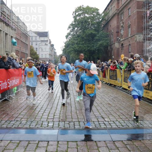 13.09.2026 - Kiel Lauf Yannick Fuchs http://msf.ph/oto/10406733 13.09.2026 08:59:28 Ziel 125, 579, 1413, 1549, 1792, 2342, 3165, 3803, 3890, 3958, 4426, 4481, 4498, 4886, 5016, 5131, 5590, 6943, 6944, 7320, 7337, 7371, 7396, 7401, 7981, 8069, 8153, 9293, 9358, 9370, 10665, 10723, 11189, 11395, 11570, 11617, 11808, 12004, 12383, 12586, 118, 512, 1848, 2725, 3543, 3666, 3767, 4026, 4064, 4164, 4444, 5106, 5629, 6480, 6816, 6883, 6896, 7028, 7223, 7706, 7739, 7916, 8261, 8944, 9215, 9430, 9623, 10292, 10334, 10682, 11201, 11575, 28, 3537, 12517 meine-sportfotos.de