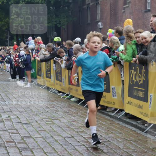 13.09.2026 - Kiel Lauf Yannick Fuchs http://msf.ph/oto/10406793 13.09.2026 08:59:33 Ziel 125, 579, 1413, 1549, 1792, 2342, 3165, 3537, 3890, 4481, 4498, 4886, 5016, 5131, 6943, 6944, 7320, 7396, 7981, 8069, 8153, 8530, 9151, 9358, 9370, 9394, 10665, 10723, 11189, 11364, 11395, 11570, 12586, 118, 512, 1848, 2725, 3543, 3666, 3767, 3803, 3958, 4026, 4064, 4164, 4426, 4444, 5106, 5131, 5590, 5629, 6480, 6816, 6883, 7028, 7337, 7371, 7401, 7706, 7739, 7916, 8261, 8944, 9215, 9293, 9430, 9623, 10682, 11201, 11395, 11575, 11617, 12004, 12383, 28 meine-sportfotos.de