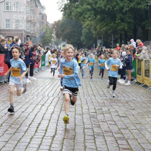 13.09.2026 - Kiel Lauf Yannick Fuchs http://msf.ph/oto/10406926 13.09.2026 08:59:48 Ziel 28, 533, 621, 2789, 2906, 2962, 3865, 3867, 7919, 8673, 8932, 9036, 9151, 9939, 11980, 12298, 12329, 125, 579, 1413, 1549, 1792, 2342, 3165, 3537, 3767, 3803, 3890, 3958, 4064, 4164, 4426, 4444, 4481, 4498, 4886, 5016, 5131, 5590, 6480, 6816, 6943, 6944, 7320, 7337, 7371, 7396, 7401, 7706, 7981, 8069, 8153, 8530, 9151, 9293, 9358, 9370, 9394, 9430, 9623, 10665, 10682, 10723, 11189, 11364, 11395, 11570, 11617, 12004, 12383, 12586, 4001, 7746, 9421, 10083, 3543 meine-sportfotos.de