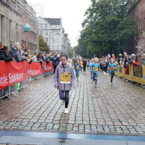 13.09.2026 - Kiel Lauf Yannick Fuchs http://msf.ph/oto/10406976 13.09.2026 08:59:52 Ziel 28, 533, 621, 2789, 2906, 2962, 3545, 3568, 3865, 3867, 7919, 8673, 9036, 9939, 12298, 125, 579, 1413, 1549, 1792, 2342, 3165, 3537, 3803, 3890, 3958, 4426, 4481, 4498, 4886, 5016, 5131, 5590, 6480, 6816, 6943, 6944, 7320, 7337, 7371, 7396, 7401, 7981, 8069, 8153, 8530, 8932, 9151, 9293, 9358, 9370, 9394, 9623, 10665, 10682, 10723, 11189, 11364, 11395, 11570, 11617, 11980, 12004, 12329, 12383, 12586, 783, 4001, 4793, 7746, 9003, 9421, 9520, 10083, 3543 meine-sportfotos.de