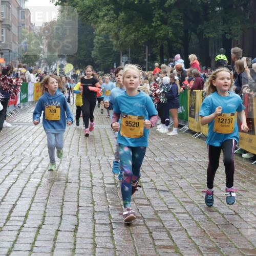 13.09.2026 - Kiel Lauf Yannick Fuchs http://msf.ph/oto/10406982 13.09.2026 08:59:53 Ziel 28, 533, 621, 1871, 2789, 2906, 2962, 3545, 3568, 3865, 3867, 6271, 7919, 8673, 9036, 9939, 12298, 125, 579, 621, 1413, 1549, 1792, 2342, 2906, 3165, 3537, 3803, 3890, 3958, 4426, 4481, 4498, 4886, 5016, 5131, 5590, 6943, 6944, 7320, 7337, 7371, 7396, 7401, 7919, 7981, 8069, 8153, 8530, 8932, 9151, 9293, 9358, 9370, 9394, 10665, 10723, 11189, 11364, 11395, 11570, 11617, 11980, 12004, 12329, 12383, 12586, 783, 1538, 4001, 4793, 7746, 9003, 9421, 9520, 10083, 3543 meine-sportfotos.de