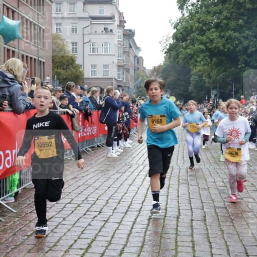 13.09.2026 - Kiel Lauf Yannick Fuchs http://msf.ph/oto/10407095 13.09.2026 09:00:02 Ziel 780, 1871, 2789, 2918, 3545, 3568, 4001, 6271, 7624, 7746, 8692, 10083, 12371, 28, 125, 533, 579, 621, 1413, 1549, 1792, 2342, 2906, 2962, 3165, 3537, 3865, 3867, 3890, 4481, 5016, 6943, 7320, 7396, 7919, 7981, 8153, 8530, 8673, 8932, 9036, 9151, 9370, 9394, 9939, 10665, 10723, 11364, 11570, 11980, 12298, 12329, 12586, 65, 783, 1538, 2513, 2894, 3549, 4661, 4793, 4821, 6258, 6606, 6808, 9003, 9421, 9520, 10592, 12051, 12662, 125, 1413, 1549, 1792, 2342, 3165 meine-sportfotos.de