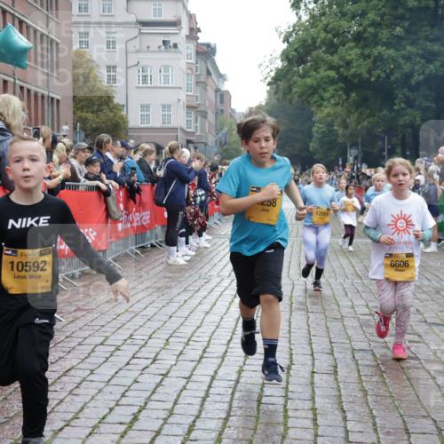 13.09.2026 - Kiel Lauf Yannick Fuchs http://msf.ph/oto/10407101 13.09.2026 09:00:03 Ziel 780, 1871, 2789, 2918, 3545, 3568, 4001, 6271, 7624, 7746, 8692, 9421, 10083, 12371, 28, 533, 579, 621, 1413, 1549, 1792, 2342, 2789, 2906, 2962, 3165, 3537, 3865, 3867, 3890, 4481, 5016, 6943, 7320, 7396, 7919, 7981, 8153, 8530, 8673, 8932, 9036, 9151, 9370, 9394, 9939, 10665, 10723, 11364, 11570, 11980, 12298, 12329, 12586, 65, 783, 1538, 2513, 2894, 3549, 4661, 4793, 4821, 6258, 6606, 6808, 9003, 9520, 10592, 11727, 12051, 12662, 125, 1413, 1549, 1792, 2342, 3165, 4481 meine-sportfotos.de