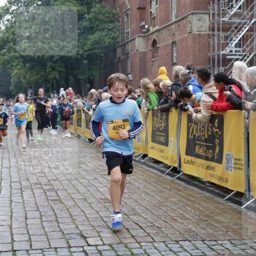 13.09.2026 - Kiel Lauf Yannick Fuchs http://msf.ph/oto/10407243 13.09.2026 09:00:13 Ziel 65, 783, 1538, 2513, 4001, 4661, 4793, 4821, 9003, 9421, 9520, 10083, 10223, 12137, 12662, 28, 533, 621, 780, 1871, 2789, 2906, 2918, 2962, 3545, 3568, 3865, 3867, 6271, 7624, 7746, 7919, 8673, 8692, 8932, 9036, 9151, 9939, 11980, 12298, 12329, 12371, 897, 1284, 2894, 3549, 4093, 6258, 6487, 6606, 6808, 10304, 10592, 11727, 12051, 579, 3537, 3890, 4481, 8530, 8932, 9151, 9370, 9394, 11364, 11570, 11980, 12329, 12586 meine-sportfotos.de