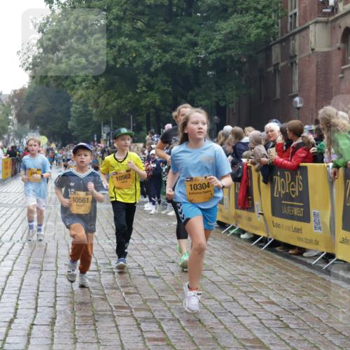 13.09.2026 - Kiel Lauf Yannick Fuchs http://msf.ph/oto/10407260 13.09.2026 09:00:16 Ziel 65, 783, 1538, 2513, 3549, 4001, 4661, 4793, 4821, 6258, 6606, 9003, 9421, 9520, 10083, 10223, 10592, 12137, 12662, 28, 533, 621, 780, 1871, 2789, 2906, 2918, 2962, 3545, 3568, 3865, 3867, 4001, 6271, 7624, 7746, 7919, 8673, 8692, 9036, 9939, 10083, 12298, 12371, 897, 1284, 2894, 4093, 6487, 6808, 10304, 10561, 10562, 11727, 12051, 533, 621, 2906, 2962, 3537, 7919, 8530, 8932, 9151, 9394, 11364, 11980, 12329 meine-sportfotos.de