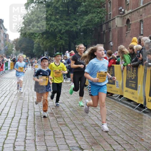 13.09.2026 - Kiel Lauf Yannick Fuchs http://msf.ph/oto/10407271 13.09.2026 09:00:16 Ziel 65, 783, 1538, 2513, 3549, 4001, 4661, 4793, 4821, 6258, 6606, 9003, 9421, 9520, 10083, 10223, 10592, 12137, 12662, 28, 533, 621, 780, 1871, 2789, 2906, 2918, 2962, 3545, 3568, 3865, 3867, 4001, 6271, 7624, 7746, 7919, 8673, 8692, 9036, 9939, 10083, 12298, 12371, 897, 1284, 2894, 4093, 6487, 6808, 10304, 10561, 10562, 11727, 12051, 533, 621, 2906, 2962, 3537, 7919, 8530, 8932, 9151, 9394, 11364, 11980, 12329 meine-sportfotos.de