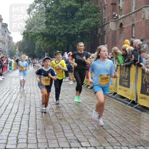 13.09.2026 - Kiel Lauf Yannick Fuchs http://msf.ph/oto/10407275 13.09.2026 09:00:16 Ziel 65, 783, 1538, 2513, 3549, 4001, 4661, 4793, 4821, 6258, 6606, 9003, 9421, 9520, 10083, 10223, 10592, 12137, 12662, 28, 533, 621, 780, 1871, 2789, 2906, 2918, 2962, 3545, 3568, 3865, 3867, 4001, 6271, 7624, 7746, 7919, 8673, 8692, 9036, 9939, 10083, 12298, 12371, 897, 1284, 2894, 4093, 6487, 6808, 10304, 10561, 10562, 11727, 12051, 533, 621, 2906, 2962, 3537, 7919, 8530, 8932, 9151, 9394, 11364, 11980, 12329 meine-sportfotos.de