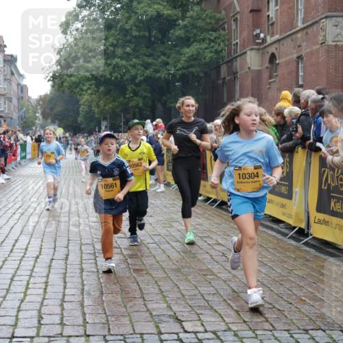 13.09.2026 - Kiel Lauf Yannick Fuchs http://msf.ph/oto/10407278 13.09.2026 09:00:17 Ziel 65, 783, 1538, 2513, 2894, 3549, 4661, 4793, 4821, 6258, 6606, 6808, 9003, 9421, 9520, 10223, 10592, 12051, 12137, 12662, 28, 533, 621, 780, 1871, 2789, 2906, 2918, 2962, 3545, 3568, 3865, 3867, 4001, 6271, 7624, 7746, 7919, 8673, 8692, 9036, 9939, 10083, 12298, 12371, 282, 897, 1284, 4093, 6487, 10304, 10561, 10562, 11727, 533, 621, 2906, 2962, 3537, 7919, 8530, 8932, 9151, 9394, 11364, 11980, 12298, 12329 meine-sportfotos.de