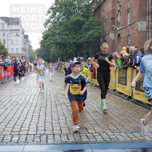 13.09.2026 - Kiel Lauf Yannick Fuchs http://msf.ph/oto/10407281 13.09.2026 09:00:17 Ziel 65, 783, 1538, 2513, 2894, 3549, 4661, 4793, 4821, 6258, 6606, 6808, 9003, 9421, 9520, 10223, 10592, 12051, 12137, 12662, 28, 533, 621, 780, 1871, 2789, 2906, 2918, 2962, 3545, 3568, 3865, 3867, 4001, 6271, 7624, 7746, 7919, 8673, 8692, 9036, 9939, 10083, 12298, 12371, 282, 897, 1284, 4093, 6487, 10304, 10561, 10562, 11727, 533, 621, 2906, 2962, 3537, 7919, 8530, 8932, 9151, 9394, 11364, 11980, 12298, 12329 meine-sportfotos.de