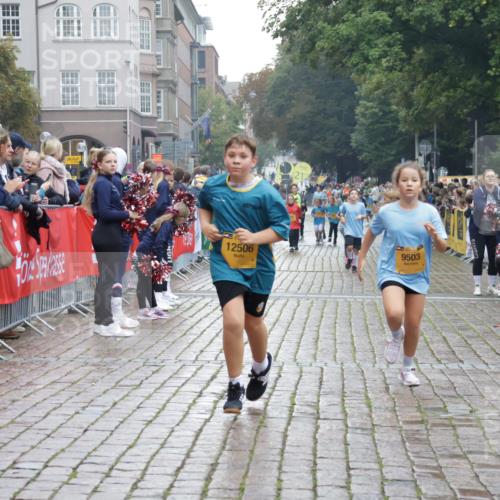 13.09.2026 - Kiel Lauf Yannick Fuchs http://msf.ph/oto/10407426 13.09.2026 09:00:42 Ziel 282, 1446, 3268, 10304, 10561, 10562, 65, 783, 897, 1284, 1538, 2513, 2894, 3549, 4093, 4661, 4793, 4821, 6258, 6487, 6606, 6808, 9003, 9421, 9520, 10223, 10592, 11727, 12051, 12137, 12662, 3135, 3611, 6561, 7487, 7991, 9503, 10636, 11425, 12506, 780, 2918, 4001, 7624, 7746, 8692, 9003, 9421, 10083, 12371 meine-sportfotos.de