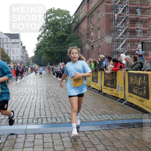 13.09.2026 - Kiel Lauf Yannick Fuchs http://msf.ph/oto/10407446 13.09.2026 09:00:44 Ziel 282, 1446, 3268, 10561, 10562, 65, 783, 897, 1284, 1538, 2513, 2894, 3549, 4093, 4661, 4793, 4821, 6258, 6487, 6606, 6808, 9003, 9520, 10223, 10304, 10561, 10562, 10592, 11727, 12051, 12137, 12662, 3135, 3611, 6561, 7487, 7991, 9503, 10636, 11425, 12506, 783, 4001, 4793, 7746, 9003, 9421, 9520, 10083, 10223, 12137, 12371 meine-sportfotos.de