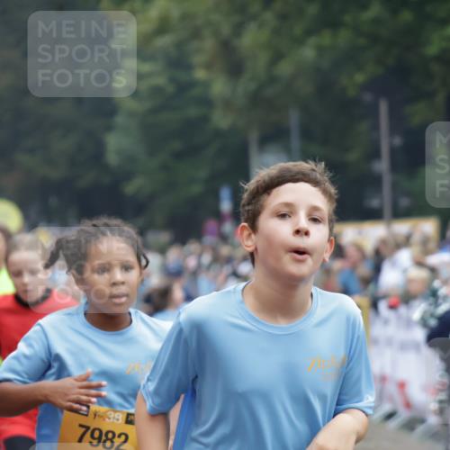 13.09.2026 - Kiel Lauf Yannick Fuchs http://msf.ph/oto/10407473 13.09.2026 09:00:52 Ziel 3135, 3611, 6561, 7487, 7991, 10636, 11425, 282, 897, 1284, 1446, 2513, 2894, 3268, 3549, 4093, 4661, 6258, 6487, 6606, 6808, 10304, 10561, 10562, 10592, 11727, 12051, 1662, 7982, 9503, 12506, 65, 783, 1538, 2513, 3549, 4661, 4793, 4821, 6258, 6606, 9003, 9520, 10223, 10592, 12137, 12662 meine-sportfotos.de