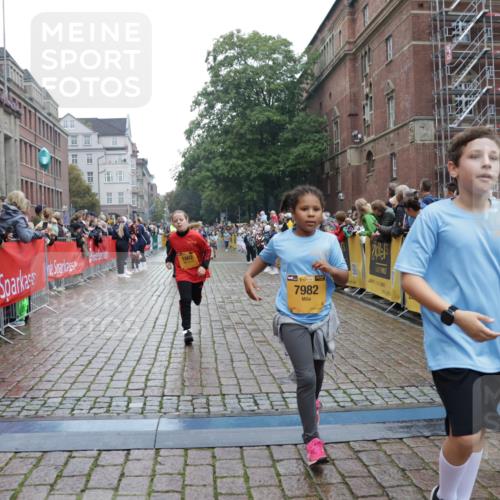 13.09.2026 - Kiel Lauf Yannick Fuchs http://msf.ph/oto/10407491 13.09.2026 09:00:55 Ziel 3135, 3611, 6561, 7487, 7991, 9503, 10636, 11425, 12506, 282, 897, 1284, 1446, 2894, 3268, 4093, 6258, 6487, 6606, 6808, 10304, 10561, 10562, 11727, 12051, 1662, 7982, 65, 1538, 2513, 2894, 3549, 4661, 4821, 6258, 6606, 6808, 10592, 11727, 12051, 12662 meine-sportfotos.de
