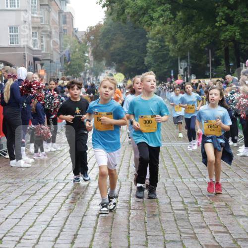 13.09.2026 - Kiel Lauf Yannick Fuchs http://msf.ph/oto/10407516 13.09.2026 09:01:01 Ziel 3135, 3611, 6561, 7991, 9503, 11425, 12506, 282, 1446, 3268, 4093, 7487, 10304, 10561, 10562, 10636, 300, 1662, 1794, 2553, 7613, 7982, 8614, 8691, 897, 1284, 2894, 3549, 6258, 6487, 6606, 6808, 10592, 11727, 12051 meine-sportfotos.de