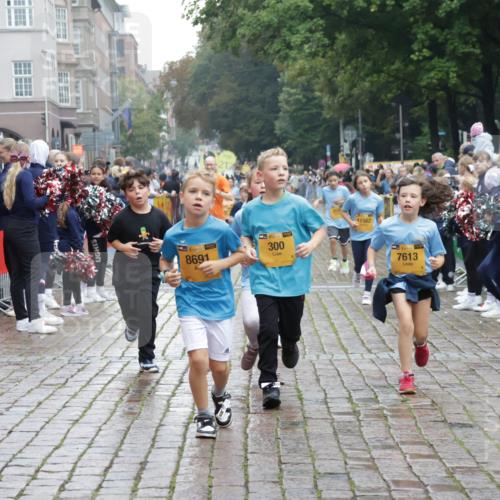 13.09.2026 - Kiel Lauf Yannick Fuchs http://msf.ph/oto/10407520 13.09.2026 09:01:01 Ziel 3135, 3611, 6561, 7991, 9503, 11425, 12506, 282, 1446, 3268, 4093, 7487, 10304, 10561, 10562, 10636, 300, 1662, 1794, 2553, 7613, 7982, 8614, 8691, 897, 1284, 2894, 3549, 6258, 6487, 6606, 6808, 10592, 11727, 12051 meine-sportfotos.de