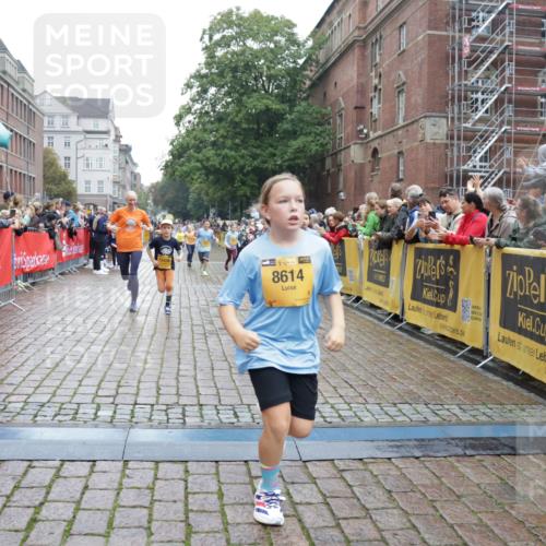 13.09.2026 - Kiel Lauf Yannick Fuchs http://msf.ph/oto/10407583 13.09.2026 09:01:06 Ziel 7982, 9503, 12506, 282, 1446, 3135, 3268, 3611, 6561, 7487, 7991, 10304, 10561, 10562, 10636, 11425, 300, 1662, 1794, 2553, 7613, 8614, 8691, 11562, 11901, 12436, 897, 1284, 4093, 6487, 10304, 10561, 10562 meine-sportfotos.de