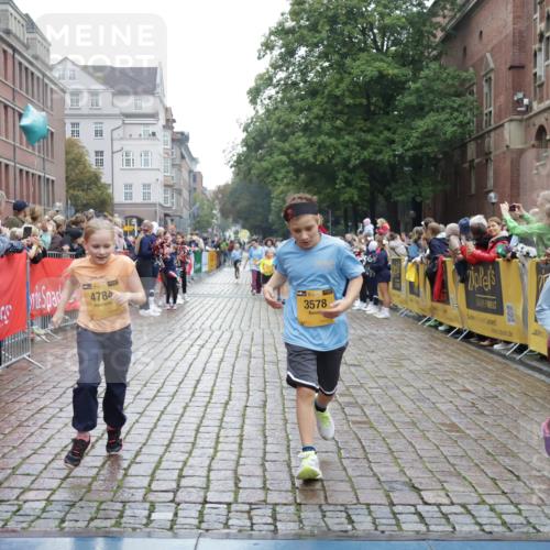 13.09.2026 - Kiel Lauf Yannick Fuchs http://msf.ph/oto/10407624 13.09.2026 09:01:10 Ziel 1662, 7982, 9503, 12506, 282, 1446, 3135, 3268, 3611, 6561, 7487, 7991, 9503, 10636, 11425, 12506, 300, 1794, 2553, 3578, 4784, 6257, 7613, 8614, 8691, 11562, 11901, 12436, 282, 1446, 4093, 10304, 10561, 10562 meine-sportfotos.de