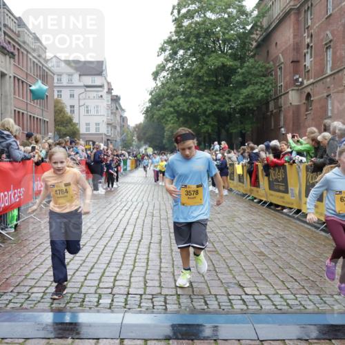 13.09.2026 - Kiel Lauf Yannick Fuchs http://msf.ph/oto/10407627 13.09.2026 09:01:10 Ziel 1662, 7982, 9503, 12506, 282, 1446, 3135, 3268, 3611, 6561, 7487, 7991, 9503, 10636, 11425, 12506, 300, 1794, 2553, 3578, 4784, 6257, 7613, 8614, 8691, 11562, 11901, 12436, 282, 1446, 4093, 10304, 10561, 10562 meine-sportfotos.de