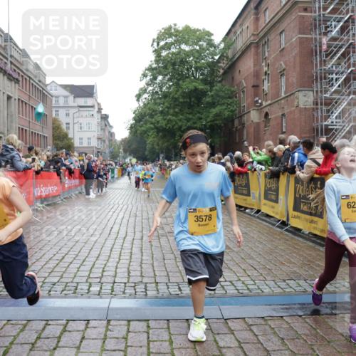 13.09.2026 - Kiel Lauf Yannick Fuchs http://msf.ph/oto/10407638 13.09.2026 09:01:11 Ziel 1662, 7982, 282, 1446, 3135, 3268, 3611, 6561, 7487, 7991, 9503, 10636, 11425, 12506, 300, 1794, 2553, 3578, 4784, 6257, 7613, 8614, 8691, 11562, 11901, 12436, 282, 1446, 3268, 4093, 10304, 10561, 10562 meine-sportfotos.de