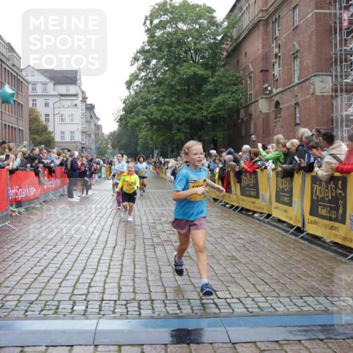 13.09.2026 - Kiel Lauf Yannick Fuchs http://msf.ph/oto/10407665 13.09.2026 09:01:16 Ziel 300, 1662, 1794, 2553, 7613, 7982, 8614, 8691, 3135, 3611, 6561, 7487, 7991, 9503, 10636, 11425, 12506, 3362, 3578, 4784, 6257, 11562, 11901, 12296, 12436, 282, 1446, 3268, 10561, 10562 meine-sportfotos.de