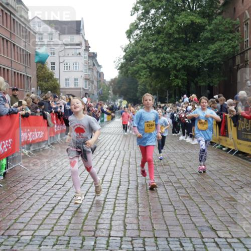 13.09.2026 - Kiel Lauf Yannick Fuchs http://msf.ph/oto/10407971 13.09.2026 09:01:51 Ziel 1353, 1355, 1959, 2321, 2568, 3592, 7062, 9285, 9615, 11119, 12539, 300, 1794, 2321, 2553, 3362, 3578, 4415, 4784, 6257, 6315, 7210, 7613, 8614, 8691, 9287, 11562, 11772, 11901, 12296, 12436, 12626, 911, 2916, 5271, 5577, 6062, 6562, 9501, 10324, 10336, 11578, 12211, 12321, 12446, 1662, 2553, 7982 meine-sportfotos.de