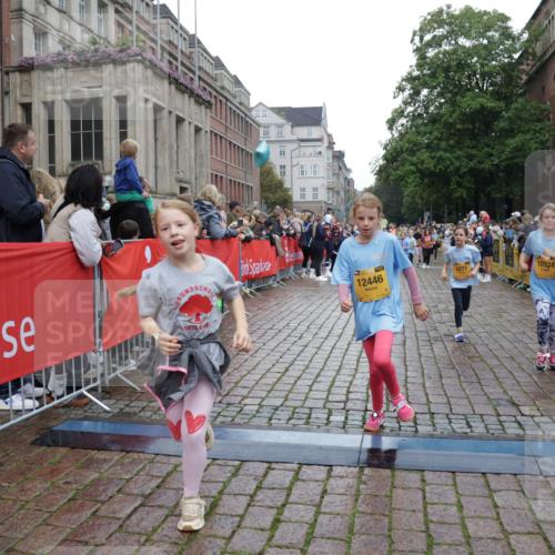 13.09.2026 - Kiel Lauf Yannick Fuchs http://msf.ph/oto/10407986 13.09.2026 09:01:53 Ziel 1353, 1355, 1959, 2916, 3592, 7062, 9285, 9501, 9615, 11119, 12539, 300, 1794, 1959, 2321, 2553, 2568, 3362, 3578, 4415, 4784, 6257, 6315, 7210, 7613, 8614, 8691, 9287, 11562, 11772, 11901, 12296, 12436, 12626, 911, 5271, 5577, 6062, 6562, 10324, 10336, 11578, 12211, 12321, 12446, 300, 1662, 1794, 2553, 7613, 8614, 8691 meine-sportfotos.de
