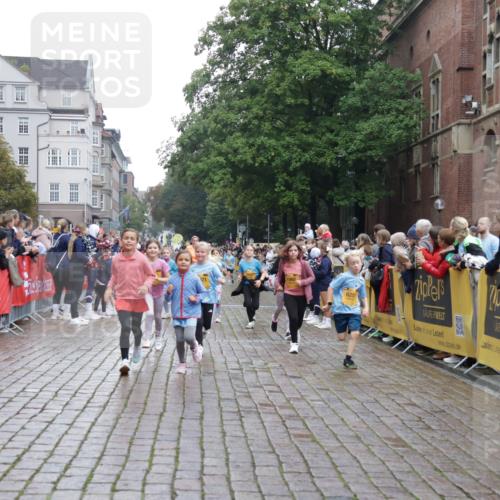 13.09.2026 - Kiel Lauf Yannick Fuchs http://msf.ph/oto/10408020 13.09.2026 09:01:57 Ziel 2916, 3592, 5577, 7062, 9501, 9615, 11119, 11578, 12321, 12539, 1353, 1355, 1959, 2321, 2568, 3362, 3578, 4415, 4784, 6257, 6315, 7210, 9285, 9287, 11562, 11772, 11901, 12296, 12436, 12626, 911, 1992, 3250, 3405, 3406, 5271, 5482, 6062, 6251, 6562, 6672, 8183, 10324, 10336, 11571, 12211, 12446, 300, 1794, 2553, 7613, 8614, 8691, 11562, 11901, 12436 meine-sportfotos.de