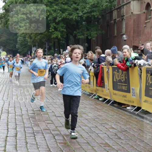 13.09.2026 - Kiel Lauf Yannick Fuchs http://msf.ph/oto/10408148 13.09.2026 09:02:08 Ziel 911, 2916, 5271, 5577, 6062, 6562, 10324, 10336, 11578, 12211, 12321, 12446, 1353, 1355, 1959, 2321, 2568, 2916, 3362, 3592, 4415, 6315, 7062, 7210, 9285, 9287, 9501, 9615, 11119, 11772, 12539, 12626, 1992, 2635, 3250, 3405, 3406, 4337, 5482, 6251, 6485, 6672, 6749, 7853, 8183, 8419, 10288, 11571, 3362, 3578, 4784, 6257, 12296 meine-sportfotos.de
