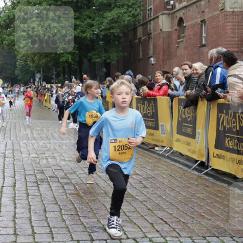 13.09.2026 - Kiel Lauf Yannick Fuchs http://msf.ph/oto/10408289 13.09.2026 09:02:34 Ziel 963, 4337, 5618, 6853, 7853, 9119, 9212, 12270, 911, 1992, 2635, 3250, 3405, 3406, 5271, 5482, 5577, 6062, 6251, 6485, 6562, 6672, 6749, 8183, 8419, 10288, 10324, 10336, 11571, 11578, 12211, 12321, 12446, 1830, 1870, 5983, 12052, 2916, 3592, 5577, 7062, 9501, 11119, 11578, 12321, 12539 meine-sportfotos.de