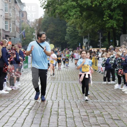 13.09.2026 - Kiel Lauf Yannick Fuchs http://msf.ph/oto/10408319 13.09.2026 09:02:45 Ziel 1870, 5983, 6853, 12052, 12270, 963, 1992, 2635, 3250, 3405, 3406, 4337, 5271, 5482, 5618, 6251, 6485, 6672, 6749, 7853, 8183, 8419, 9119, 9212, 10288, 11571, 1175, 1830, 2178, 2739, 911, 5271, 6062, 6562, 10324, 10336, 12211, 12446 meine-sportfotos.de