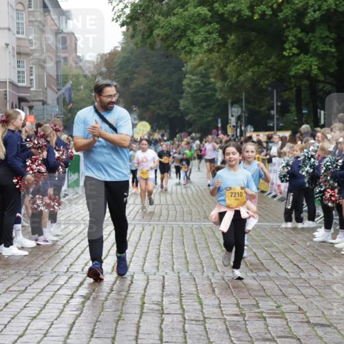 13.09.2026 - Kiel Lauf Yannick Fuchs http://msf.ph/oto/10408322 13.09.2026 09:02:45 Ziel 1870, 5983, 6853, 12052, 12270, 963, 1992, 2635, 3250, 3405, 3406, 4337, 5271, 5482, 5618, 6251, 6485, 6672, 6749, 7853, 8183, 8419, 9119, 9212, 10288, 11571, 1175, 1830, 2178, 2739, 911, 5271, 6062, 6562, 10324, 10336, 12211, 12446 meine-sportfotos.de