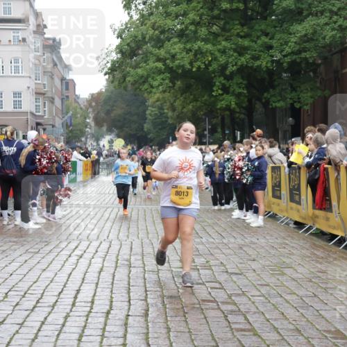 13.09.2026 - Kiel Lauf Yannick Fuchs http://msf.ph/oto/10408348 13.09.2026 09:02:52 Ziel 1175, 1830, 1870, 2739, 12052, 963, 2635, 3406, 4337, 5482, 5618, 5983, 6485, 6749, 6853, 7853, 8419, 9119, 9212, 10288, 12270, 2178, 8013, 11932, 1992, 2635, 3250, 3405, 3406, 5271, 5482, 6251, 6485, 6672, 8183, 10288, 11571 meine-sportfotos.de