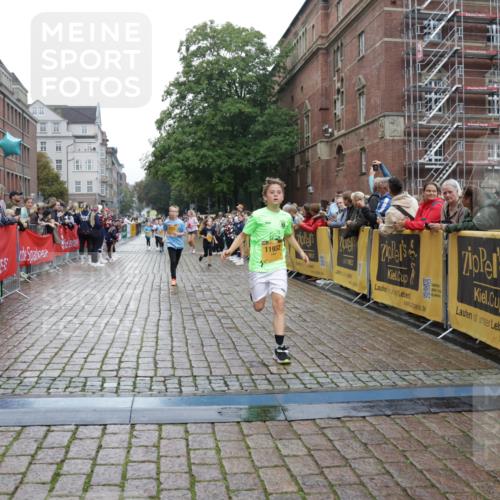 13.09.2026 - Kiel Lauf Yannick Fuchs http://msf.ph/oto/10408374 13.09.2026 09:02:56 Ziel 1175, 1830, 1870, 2739, 12052, 963, 4337, 5618, 5983, 6749, 6853, 7853, 8419, 9119, 9212, 12270, 2178, 2372, 8013, 11932, 1992, 2635, 3250, 3405, 3406, 5482, 6251, 6485, 6672, 6749, 8183, 8419, 10288, 11571 meine-sportfotos.de