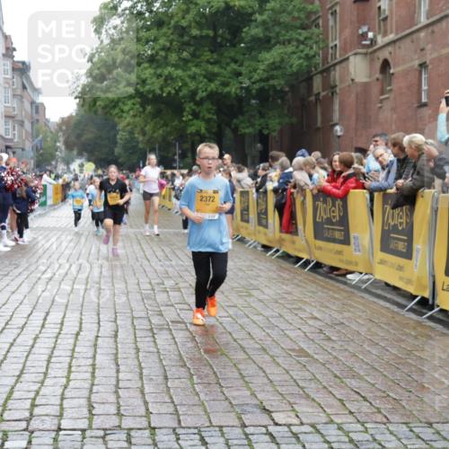 13.09.2026 - Kiel Lauf Yannick Fuchs http://msf.ph/oto/10408390 13.09.2026 09:02:57 Ziel 1175, 1830, 1870, 2739, 12052, 963, 4337, 5618, 5983, 6749, 6853, 7853, 9119, 9212, 12270, 2178, 2372, 7020, 8013, 8924, 11932, 1992, 2635, 3250, 3405, 3406, 4337, 5482, 6251, 6485, 6672, 6749, 8183, 8419, 10288, 11571 meine-sportfotos.de