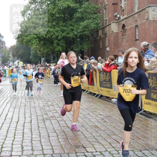 13.09.2026 - Kiel Lauf Yannick Fuchs http://msf.ph/oto/10408401 13.09.2026 09:03:00 Ziel 1175, 1830, 2178, 2739, 12052, 963, 1870, 4337, 5618, 5983, 6853, 7853, 9119, 9212, 12052, 12270, 2372, 7020, 8013, 8789, 8924, 11932, 2635, 4337, 6485, 6749, 7853, 8419, 10288 meine-sportfotos.de