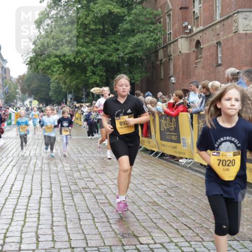 13.09.2026 - Kiel Lauf Yannick Fuchs http://msf.ph/oto/10408408 13.09.2026 09:03:00 Ziel 1175, 1830, 2178, 2739, 12052, 963, 1870, 4337, 5618, 5983, 6853, 7853, 9119, 9212, 12052, 12270, 2372, 7020, 8013, 8789, 8924, 11932, 2635, 4337, 6485, 6749, 7853, 8419, 10288 meine-sportfotos.de