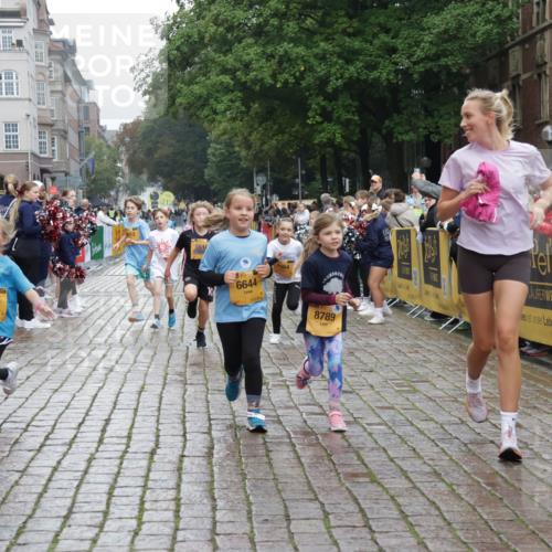 13.09.2026 - Kiel Lauf Yannick Fuchs http://msf.ph/oto/10408414 13.09.2026 09:03:03 Ziel 1175, 2178, 2739, 963, 1830, 1870, 5618, 5983, 6853, 9119, 9212, 12052, 12270, 2372, 2528, 5854, 6644, 7020, 7564, 8013, 8616, 8789, 8924, 11932, 4337, 6749, 7853, 8419, 9119 meine-sportfotos.de