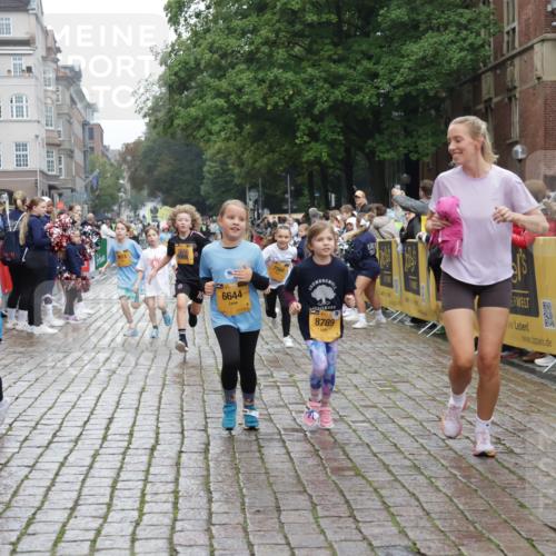 13.09.2026 - Kiel Lauf Yannick Fuchs http://msf.ph/oto/10408416 13.09.2026 09:03:03 Ziel 1175, 2178, 2739, 963, 1830, 1870, 5618, 5983, 6853, 9119, 9212, 12052, 12270, 2372, 2528, 5854, 6644, 7020, 7564, 8013, 8616, 8789, 8924, 11932, 4337, 6749, 7853, 8419, 9119 meine-sportfotos.de