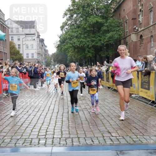 13.09.2026 - Kiel Lauf Yannick Fuchs http://msf.ph/oto/10408423 13.09.2026 09:03:03 Ziel 1175, 2178, 2739, 963, 1830, 1870, 5618, 5983, 6853, 9119, 9212, 12052, 12270, 2372, 2528, 5854, 6644, 7020, 7564, 8013, 8616, 8789, 8924, 11932, 4337, 6749, 7853, 8419, 9119 meine-sportfotos.de