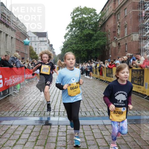 13.09.2026 - Kiel Lauf Yannick Fuchs http://msf.ph/oto/10408433 13.09.2026 09:03:05 Ziel 1175, 2178, 2739, 963, 1830, 1870, 5618, 5983, 6853, 9119, 9212, 12052, 12270, 2372, 2528, 5854, 6644, 7020, 7564, 8013, 8613, 8616, 8789, 8924, 11932, 963, 4337, 7853, 9119 meine-sportfotos.de