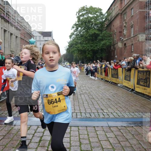 13.09.2026 - Kiel Lauf Yannick Fuchs http://msf.ph/oto/10408443 13.09.2026 09:03:06 Ziel 1175, 2178, 2739, 8013, 963, 1175, 1830, 1870, 2739, 5618, 5983, 6853, 9119, 9212, 12052, 12270, 2372, 2528, 5854, 6644, 7020, 7564, 8613, 8616, 8789, 8924, 11932, 963, 4337, 5618, 7853, 9119, 9212 meine-sportfotos.de