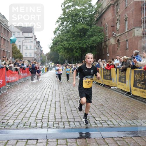 13.09.2026 - Kiel Lauf Yannick Fuchs http://msf.ph/oto/10408473 13.09.2026 09:03:11 Ziel 2178, 2372, 8013, 11932, 1175, 1830, 1870, 2739, 5983, 6853, 12052, 12270, 2528, 5854, 6644, 7020, 7564, 8613, 8616, 8789, 8924, 11931, 963, 5618, 6853, 9119, 9212, 12270 meine-sportfotos.de