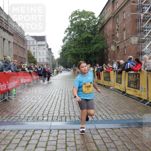 13.09.2026 - Kiel Lauf Yannick Fuchs http://msf.ph/oto/10408540 13.09.2026 09:03:26 Ziel 2528, 5854, 6644, 7020, 7564, 8613, 8616, 8789, 8924, 11931, 1175, 1830, 2178, 2372, 2739, 8013, 11932, 1268, 4445, 6191, 7990, 10123, 1830, 1870, 12052 meine-sportfotos.de