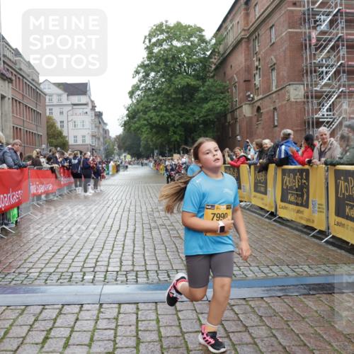 13.09.2026 - Kiel Lauf Yannick Fuchs http://msf.ph/oto/10408547 13.09.2026 09:03:26 Ziel 2528, 5854, 6644, 7020, 7564, 8613, 8616, 8789, 8924, 11931, 1175, 1830, 2178, 2372, 2739, 8013, 11932, 1268, 4445, 6191, 7990, 10123, 1830, 1870, 12052 meine-sportfotos.de