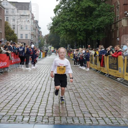 13.09.2026 - Kiel Lauf Yannick Fuchs http://msf.ph/oto/10408571 13.09.2026 09:03:46 Ziel 7990, 10123, 1268, 2372, 2528, 4445, 5854, 6191, 6644, 7020, 7564, 8013, 8613, 8616, 8789, 8924, 11931, 11932, 2193, 2178, 2372, 8013, 11932 meine-sportfotos.de