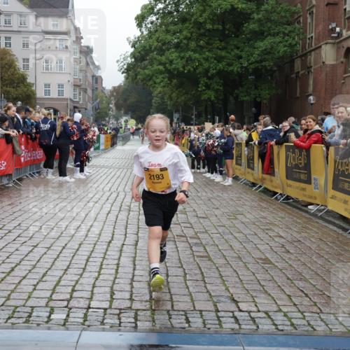 13.09.2026 - Kiel Lauf Yannick Fuchs http://msf.ph/oto/10408574 13.09.2026 09:03:46 Ziel 7990, 10123, 1268, 2372, 2528, 4445, 5854, 6191, 6644, 7020, 7564, 8013, 8613, 8616, 8789, 8924, 11931, 11932, 2193, 2178, 2372, 8013, 11932 meine-sportfotos.de